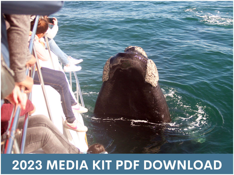 2023 whale watching media kit download