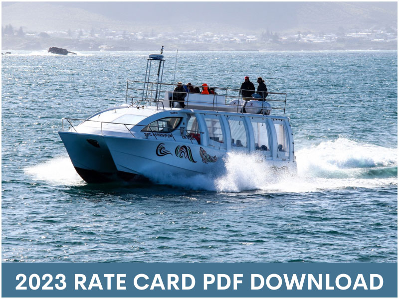 2023 whale watching rate card