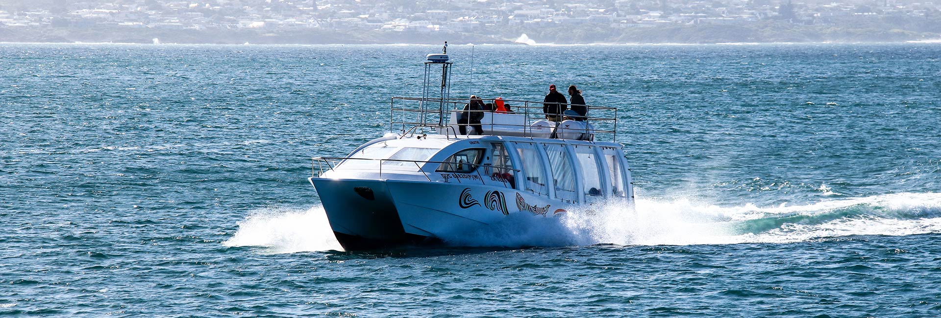 whale watching boat header 600